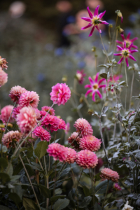 Katie and Alexa Wedding - Venue Atmosphere - New York Botanical Garden - Susan Stripling Photography