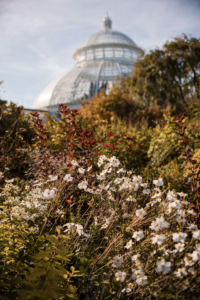 Katie and Alexa Wedding - Venue Atmosphere - New York Botanical Garden - Susan Stripling Photography
